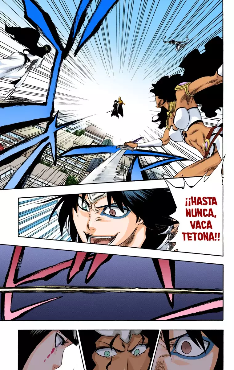 Read Bleach Full Color ES Manga Online