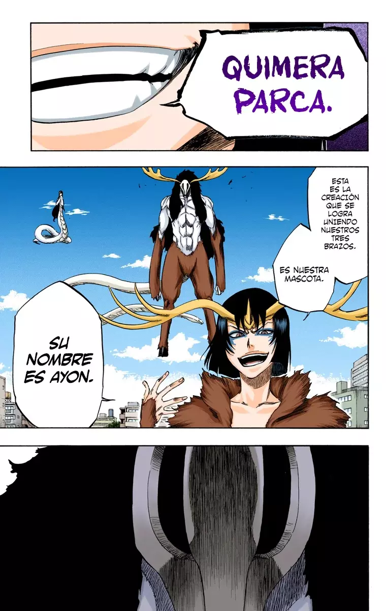 Read Bleach Full Color ES Manga Online