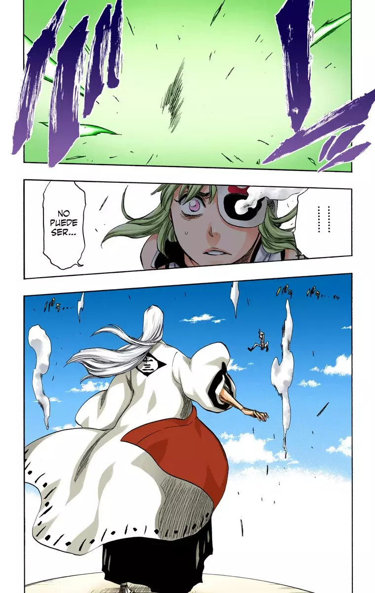 Read Bleach Full Color ES Manga Online