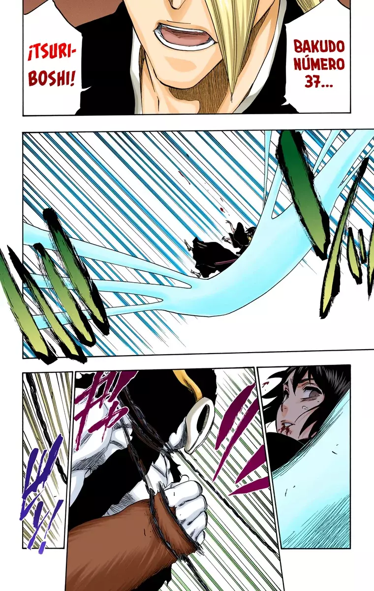 Read Bleach Full Color ES Manga Online