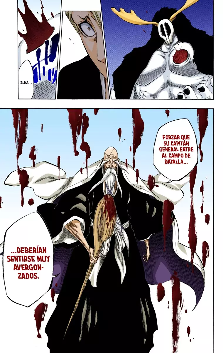 Read Bleach Full Color ES Manga Online