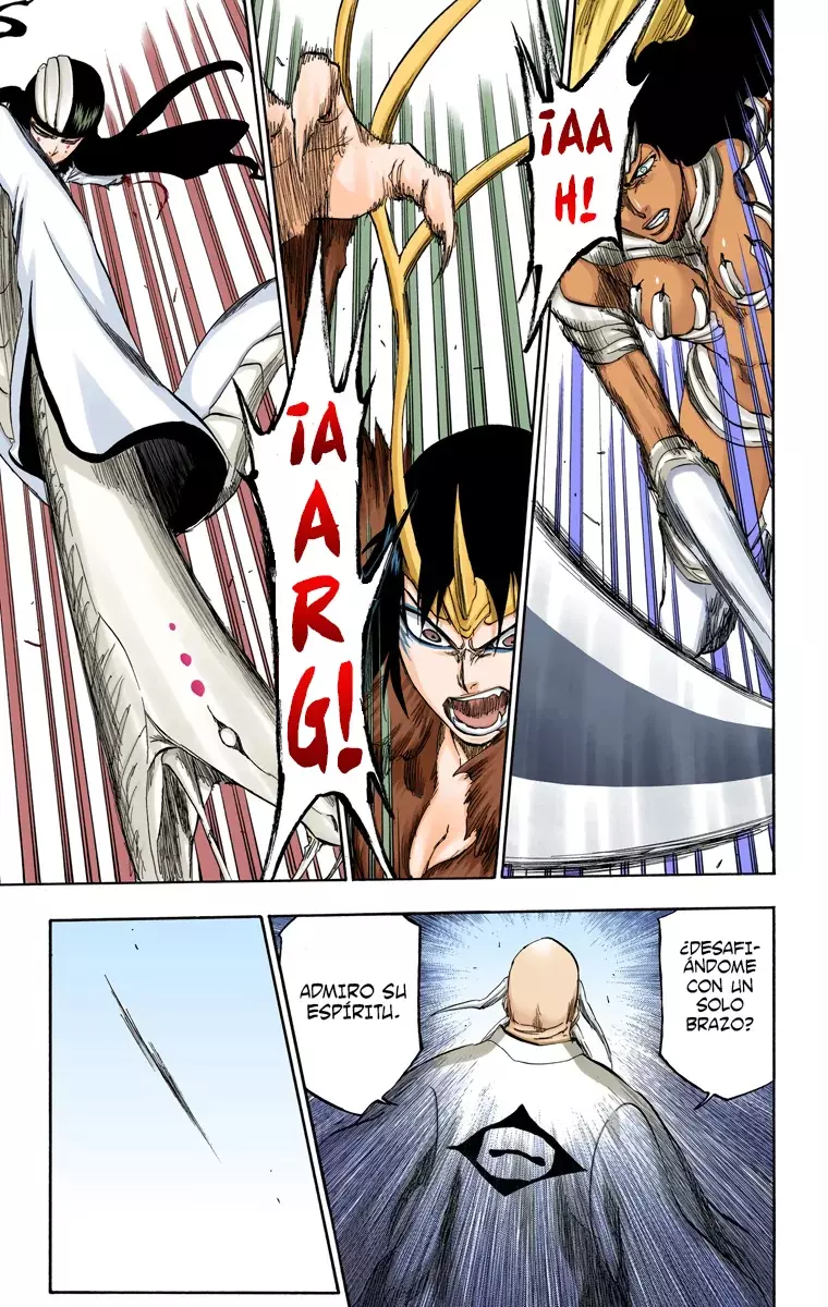 Read Bleach Full Color ES Manga Online