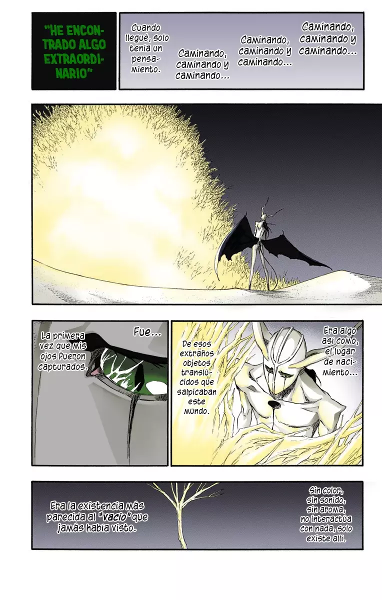 Read Bleach Full Color ES Manga Online