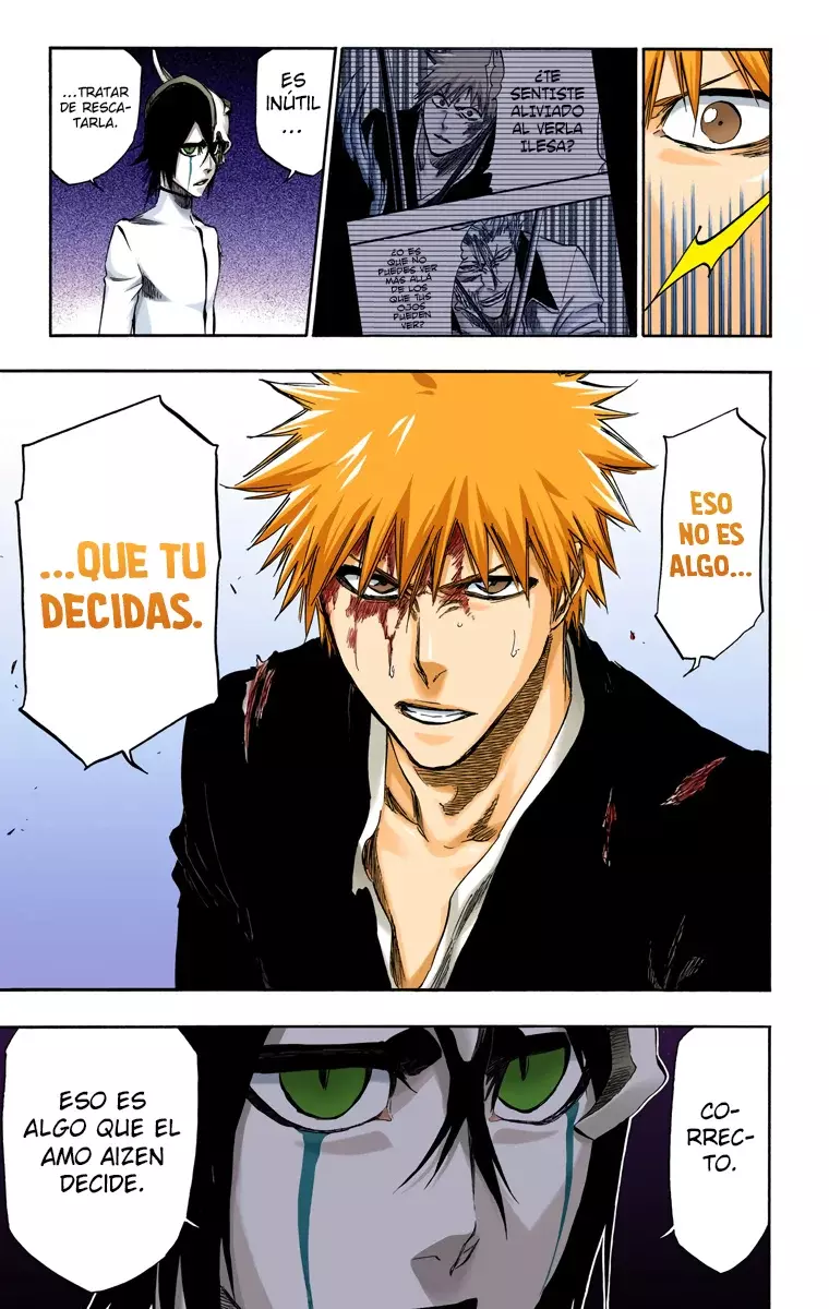 Read Bleach Full Color ES Manga Online