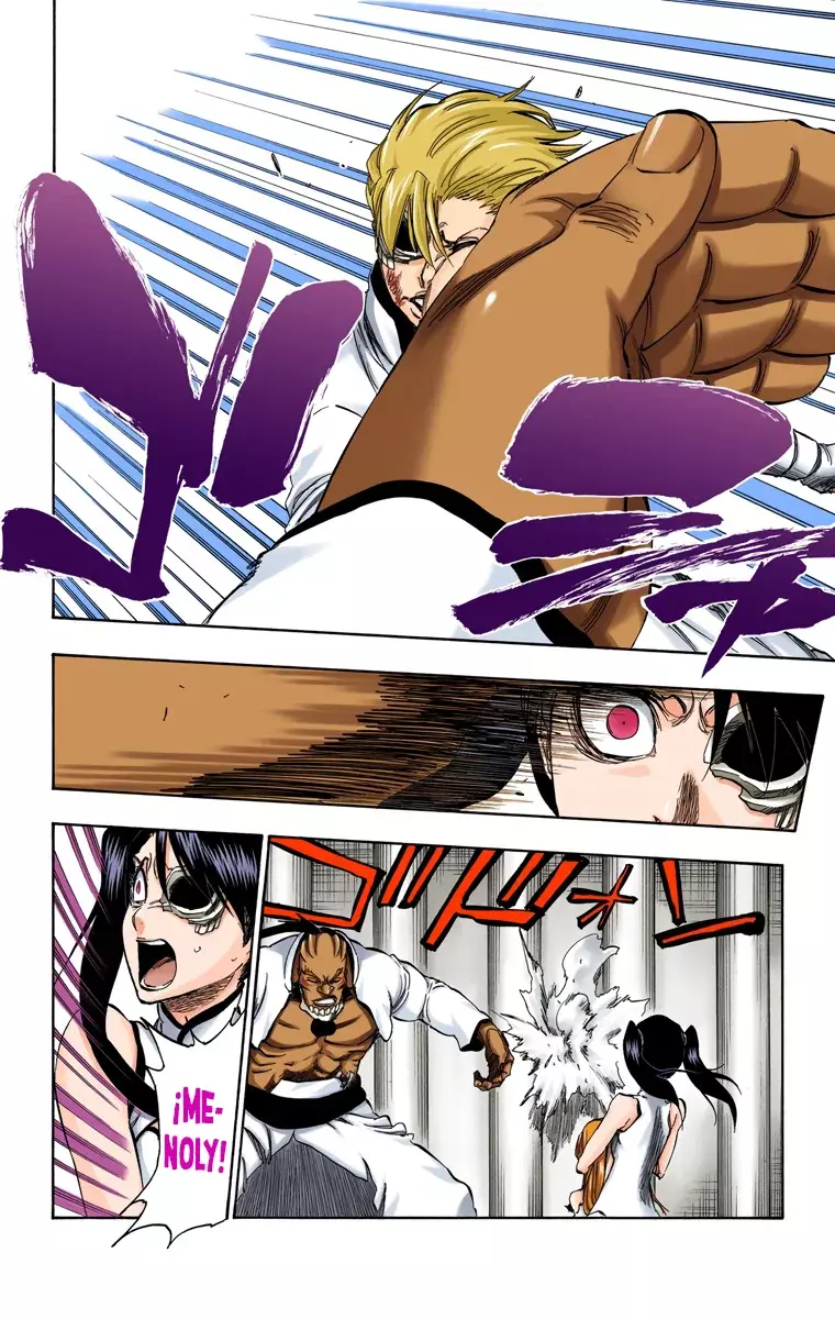 Read Bleach Full Color ES Manga Online