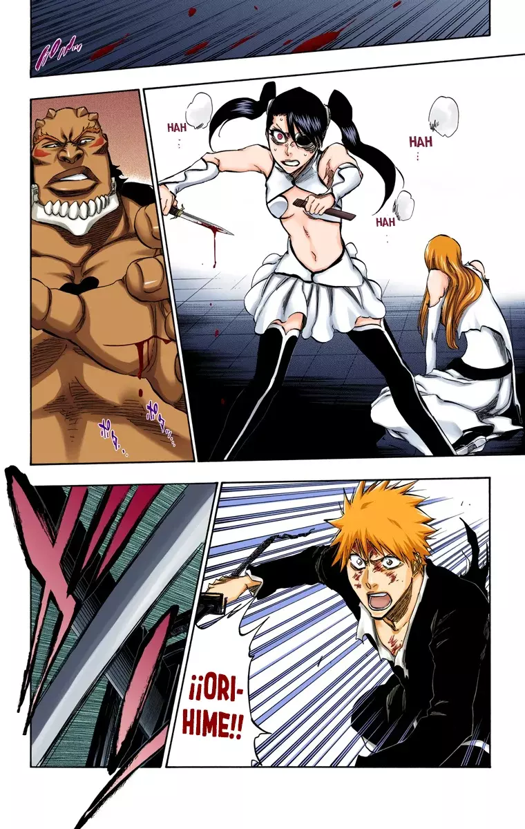 Read Bleach Full Color ES Manga Online