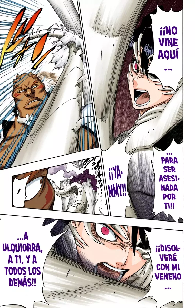 Read Bleach Full Color ES Manga Online