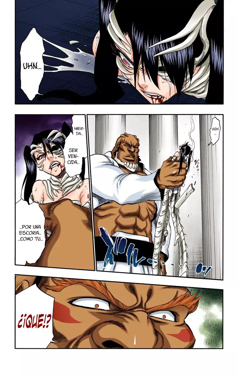 Read Bleach Full Color ES Manga Online