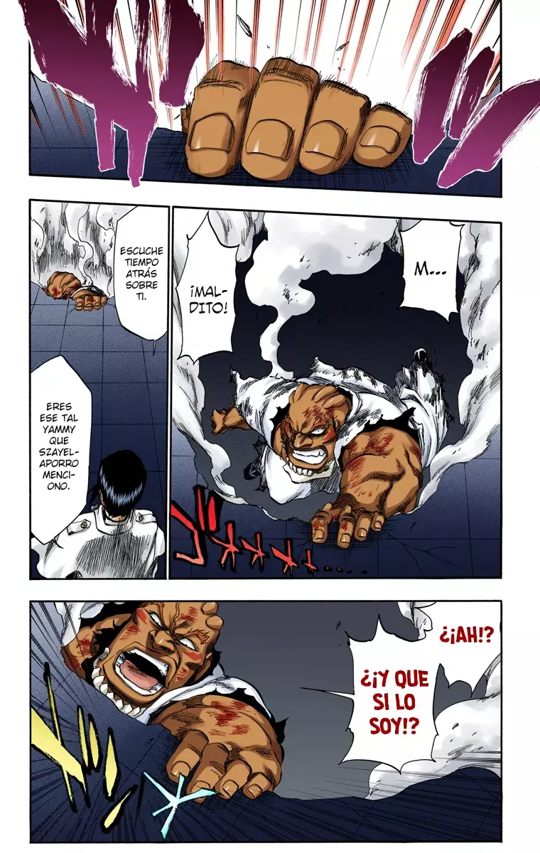 Read Bleach Full Color ES Manga Online