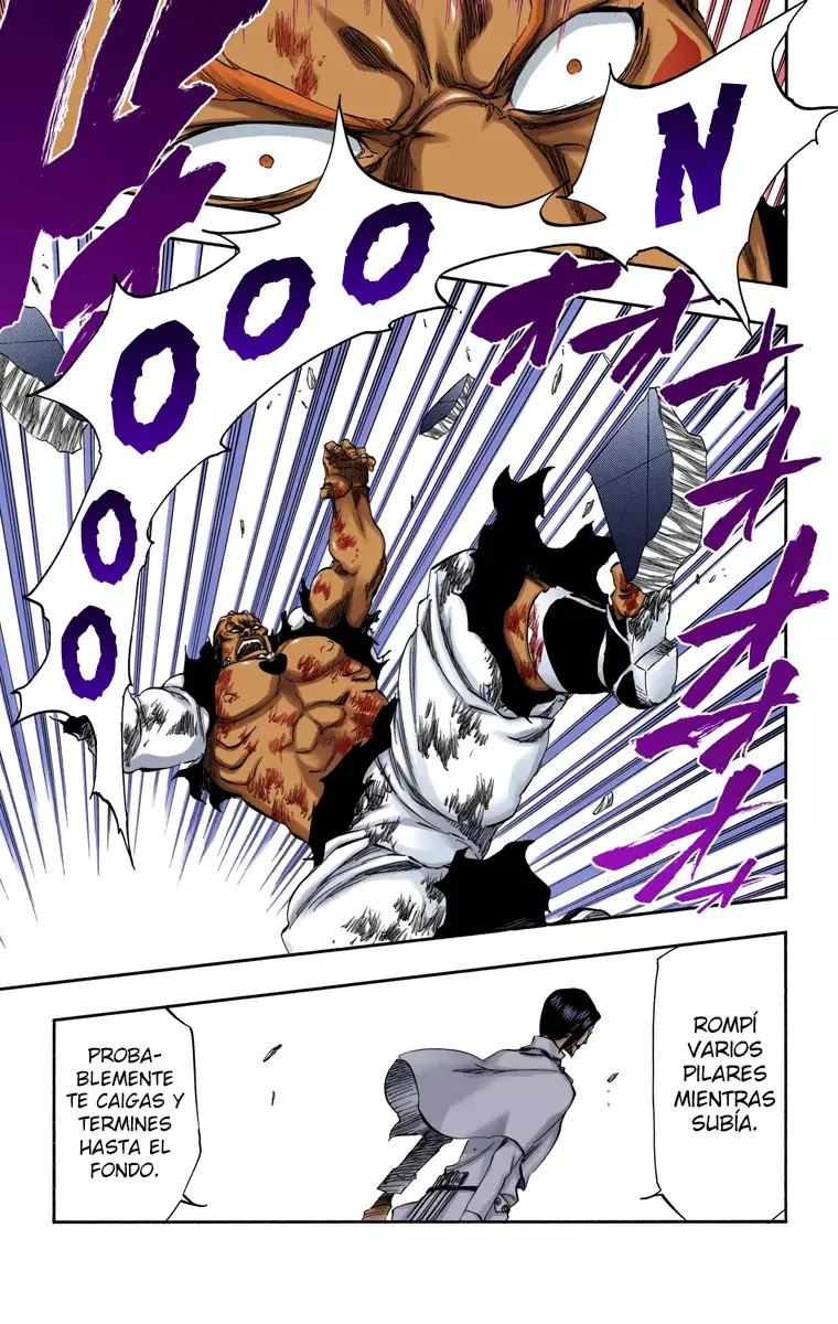 Read Bleach Full Color ES Manga Online