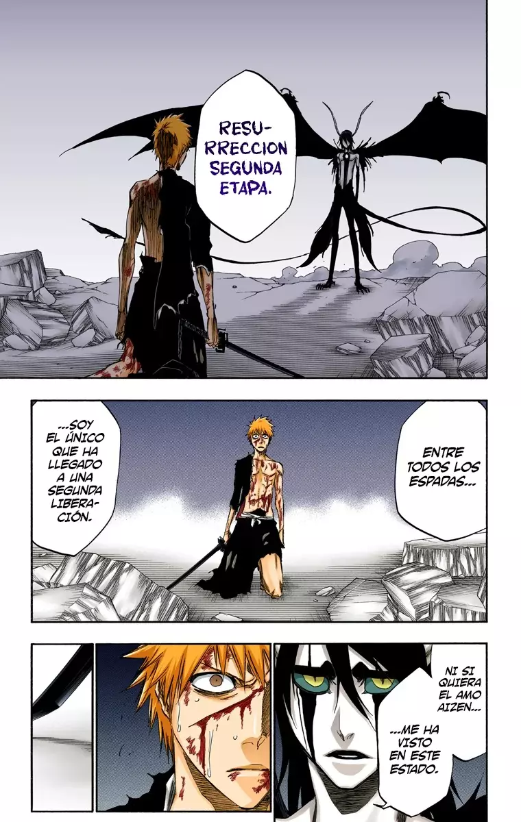 Read Bleach Full Color ES Manga Online
