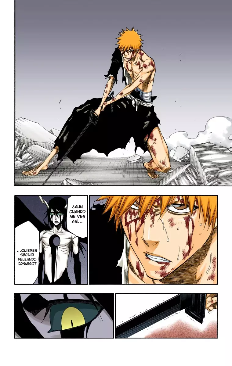 Read Bleach Full Color ES Manga Online