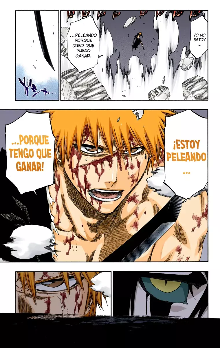 Read Bleach Full Color ES Manga Online