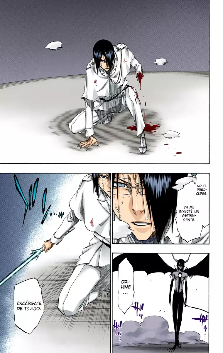Read Bleach Full Color ES Manga Online