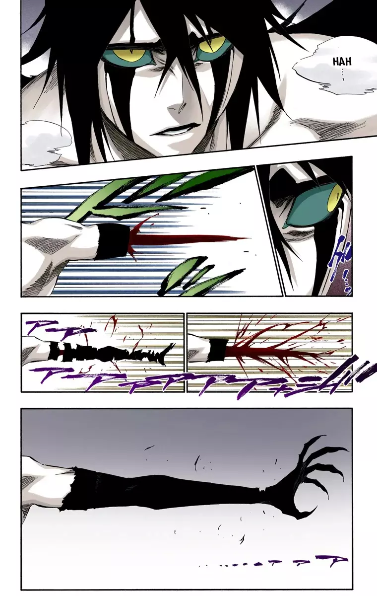 Read Bleach Full Color ES Manga Online