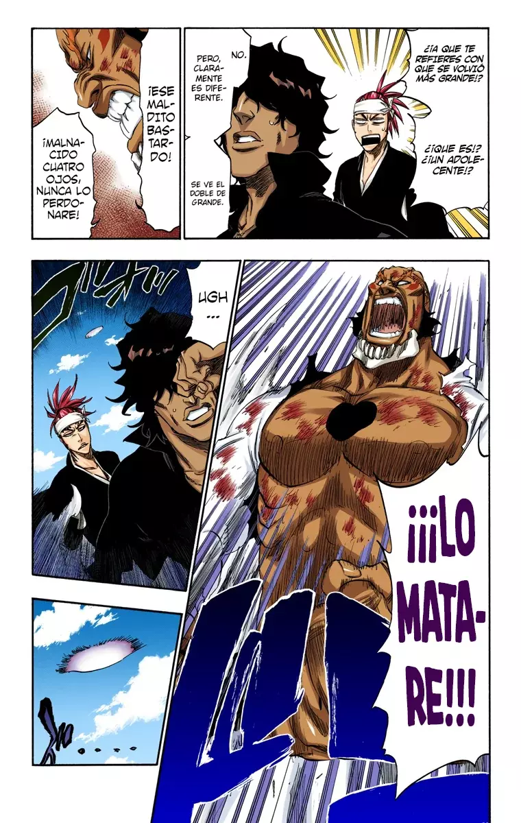 Read Bleach Full Color ES Manga Online
