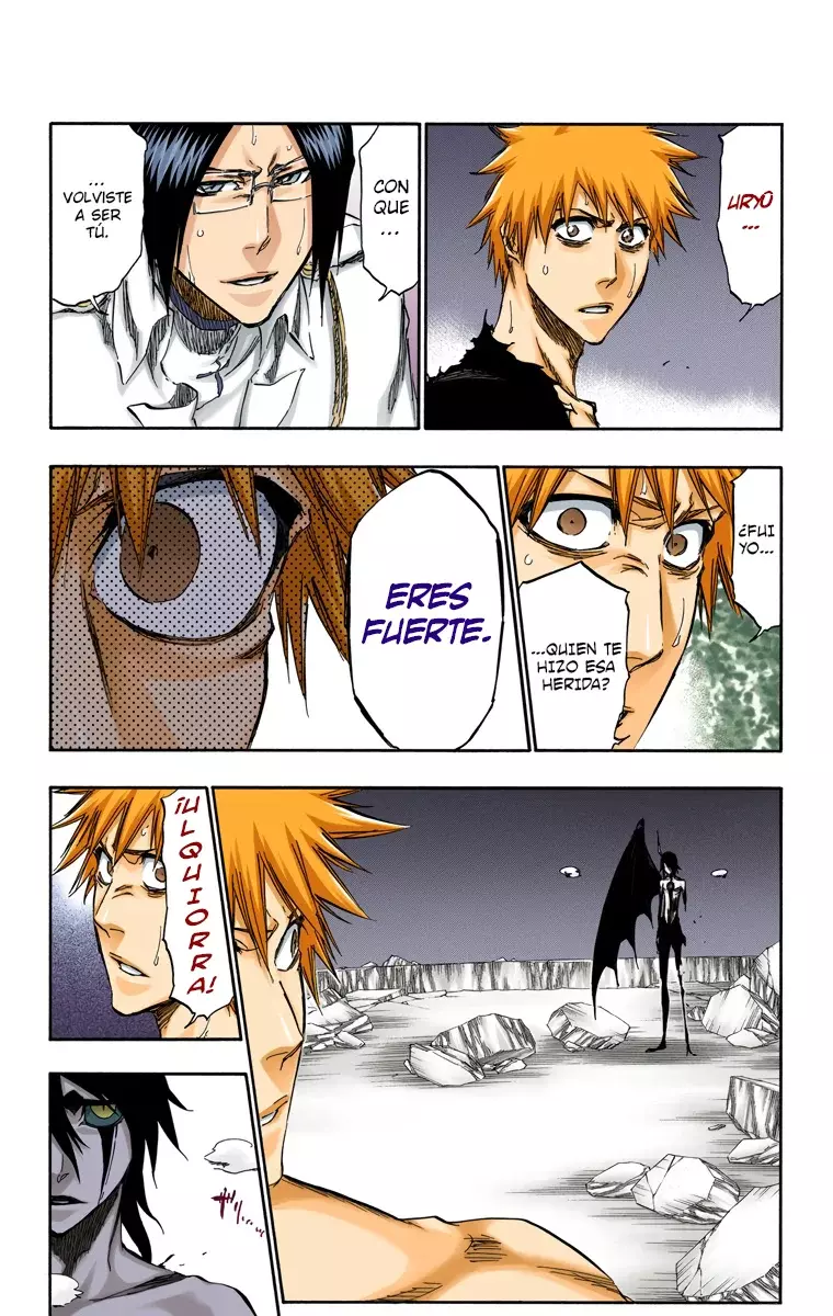 Read Bleach Full Color ES Manga Online