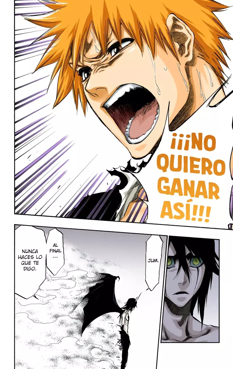 Read Bleach Full Color ES Manga Online