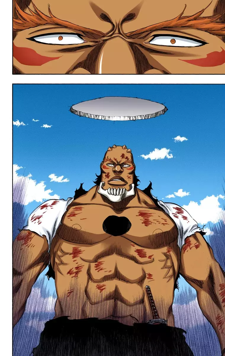 Read Bleach Full Color ES Manga Online
