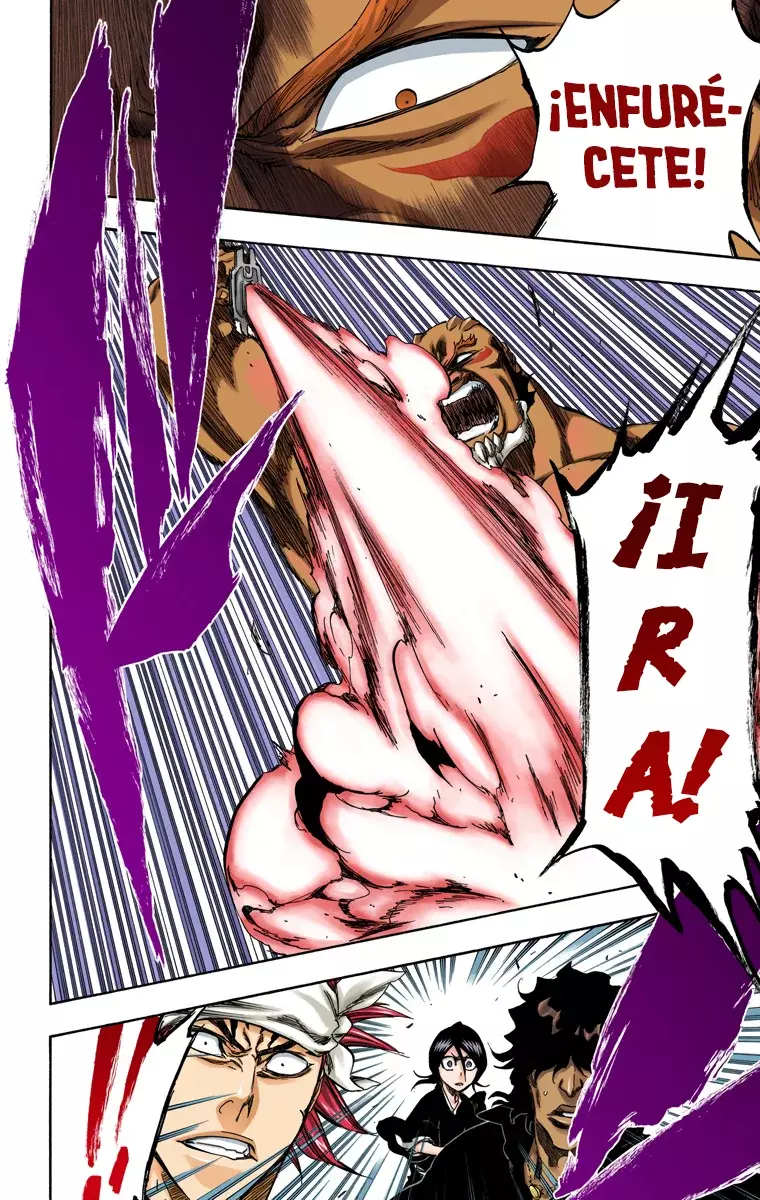 Read Bleach Full Color ES Manga Online