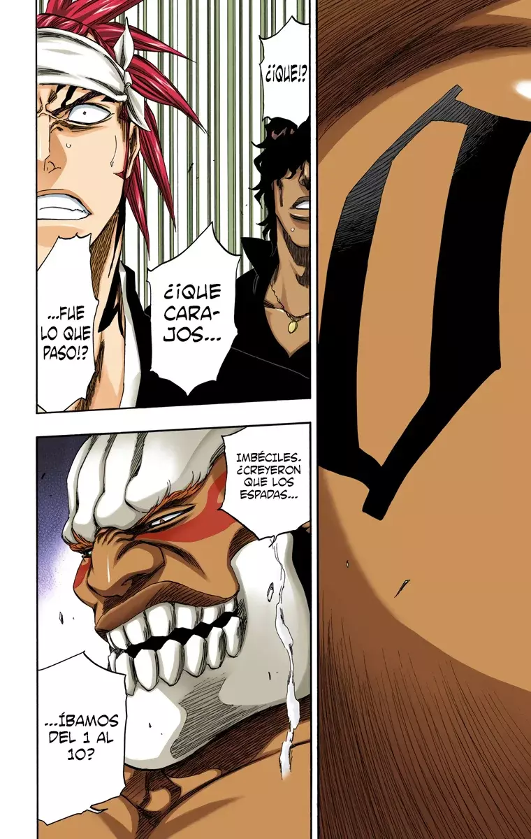 Read Bleach Full Color ES Manga Online