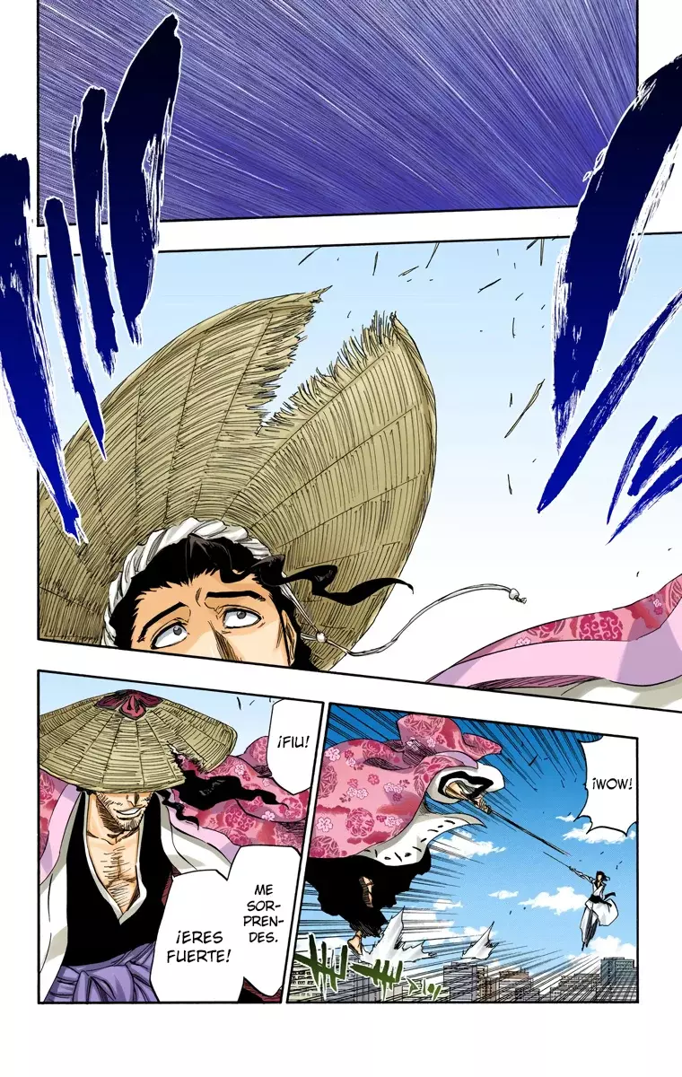 Read Bleach Full Color ES Manga Online