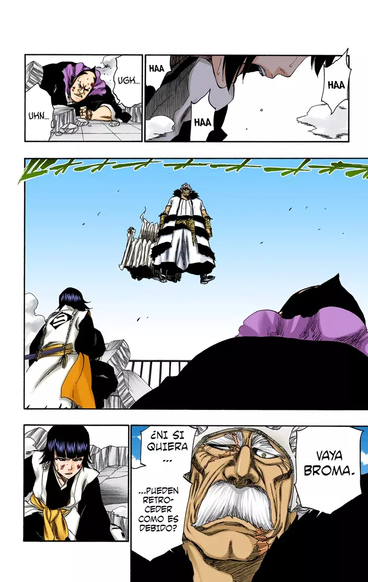 Read Bleach Full Color ES Manga Online