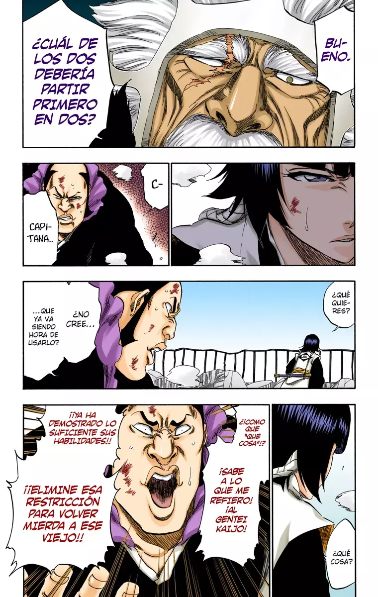 Read Bleach Full Color ES Manga Online