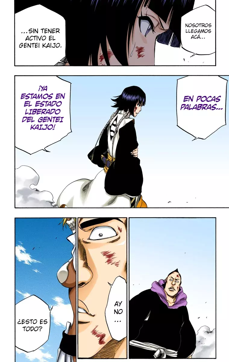 Read Bleach Full Color ES Manga Online