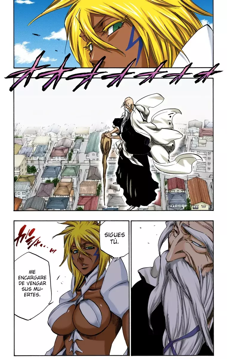 Read Bleach Full Color ES Manga Online