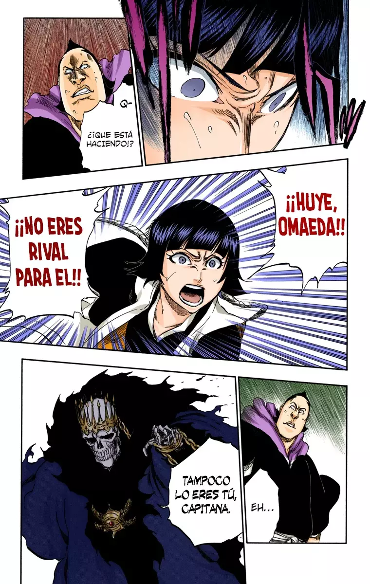 Read Bleach Full Color ES Manga Online