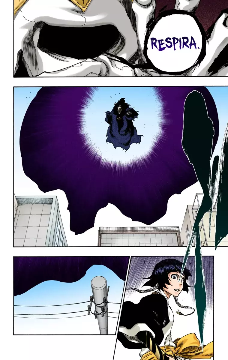 Read Bleach Full Color ES Manga Online