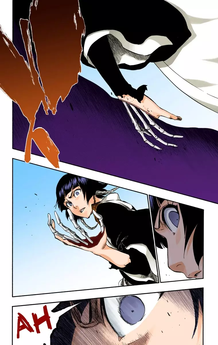 Read Bleach Full Color ES Manga Online