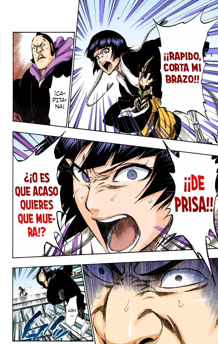 Read Bleach Full Color ES Manga Online