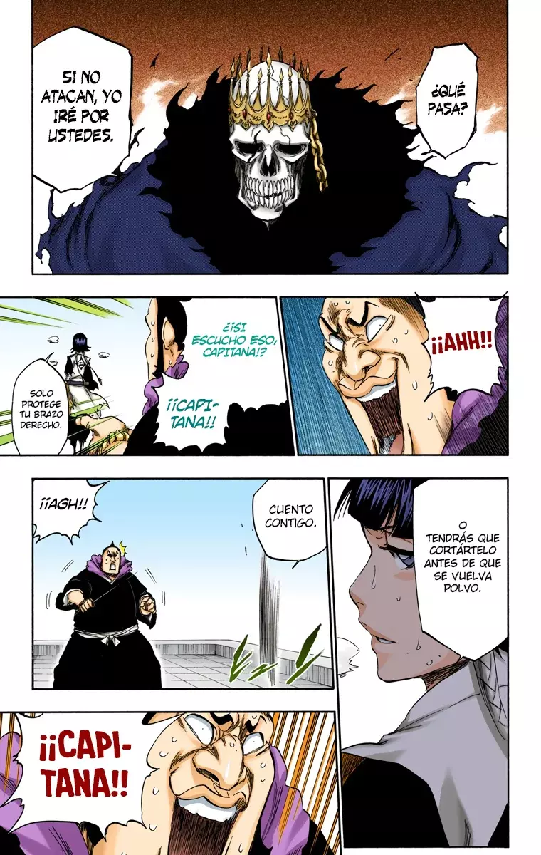 Read Bleach Full Color ES Manga Online