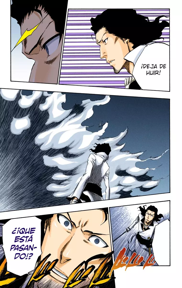Read Bleach Full Color ES Manga Online