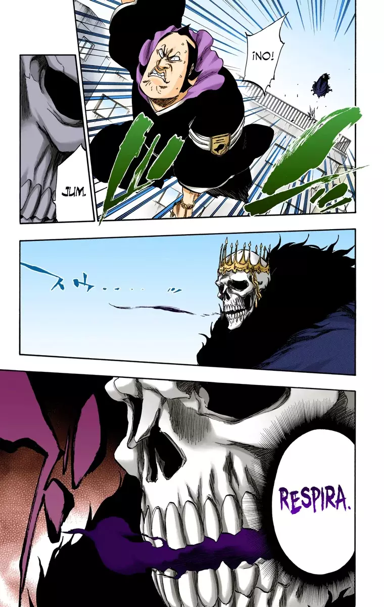 Read Bleach Full Color ES Manga Online