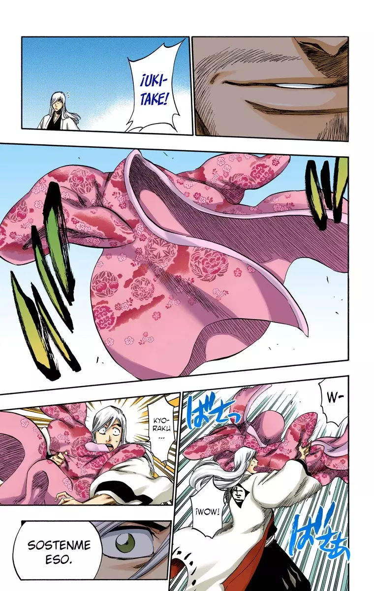 Read Bleach Full Color ES Manga Online