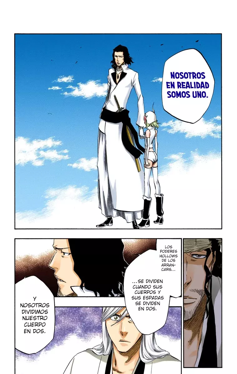 Read Bleach Full Color ES Manga Online
