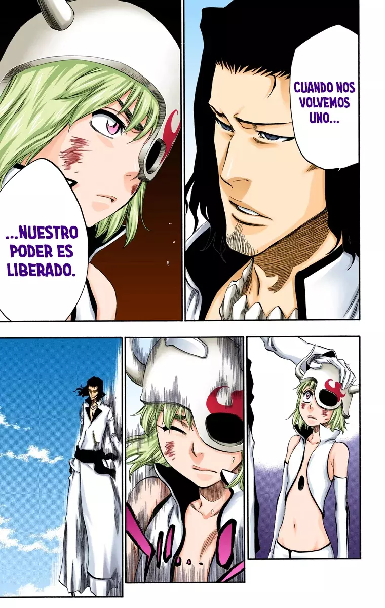 Read Bleach Full Color ES Manga Online