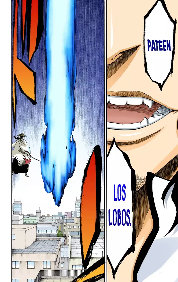 Read Bleach Full Color ES Manga Online