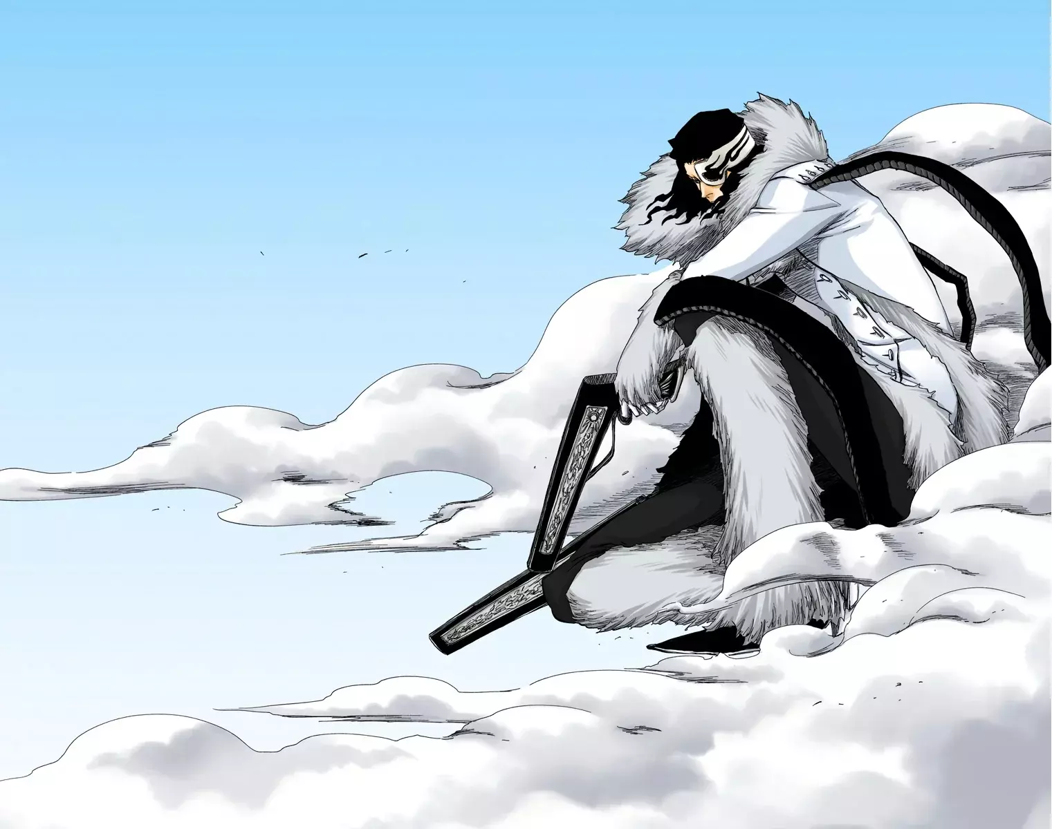 Read Bleach Full Color ES Manga Online