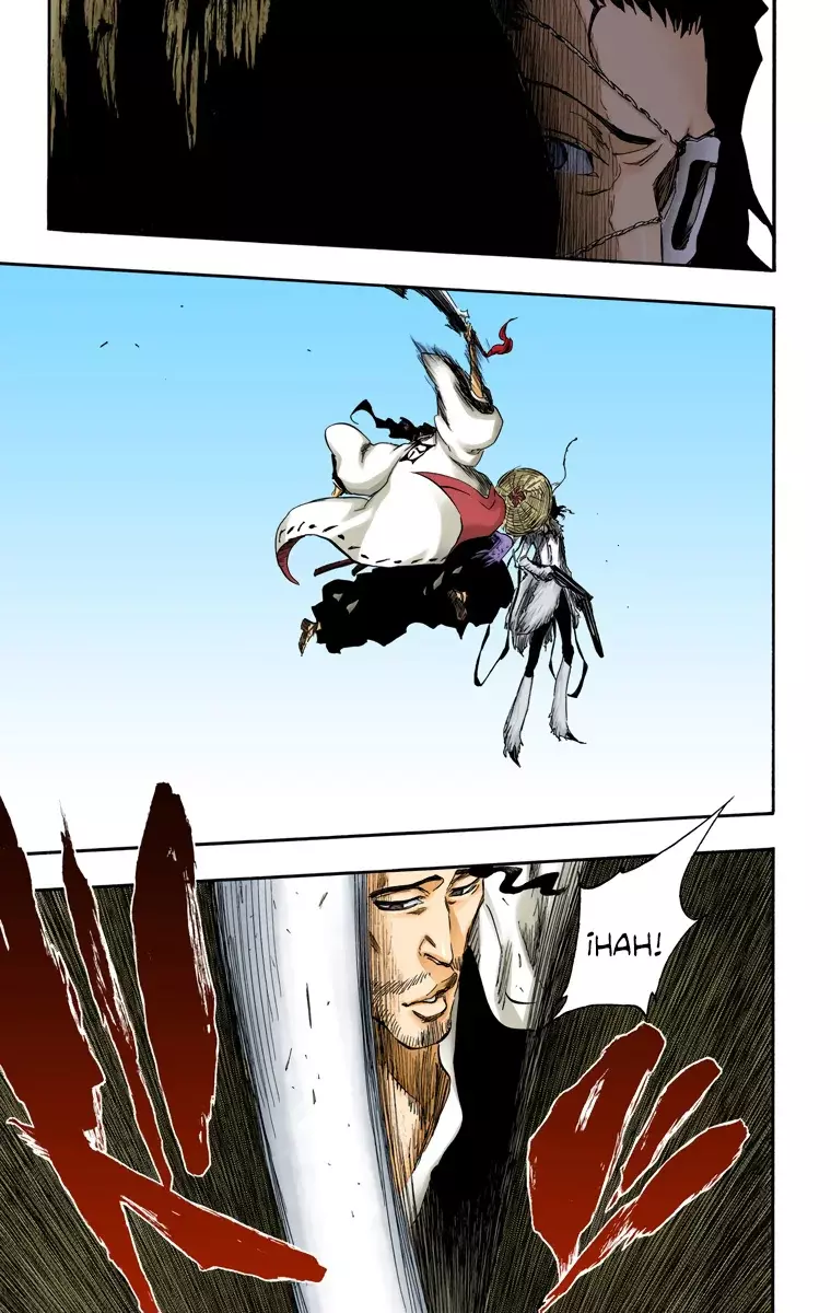 Read Bleach Full Color ES Manga Online