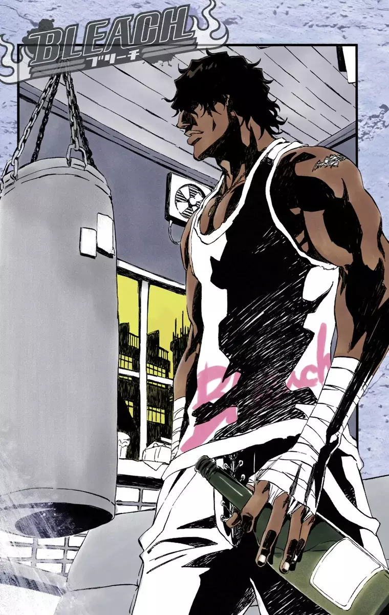 Read Bleach Full Color ES Manga Online