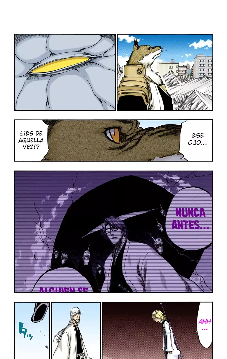 Read Bleach Full Color ES Manga Online