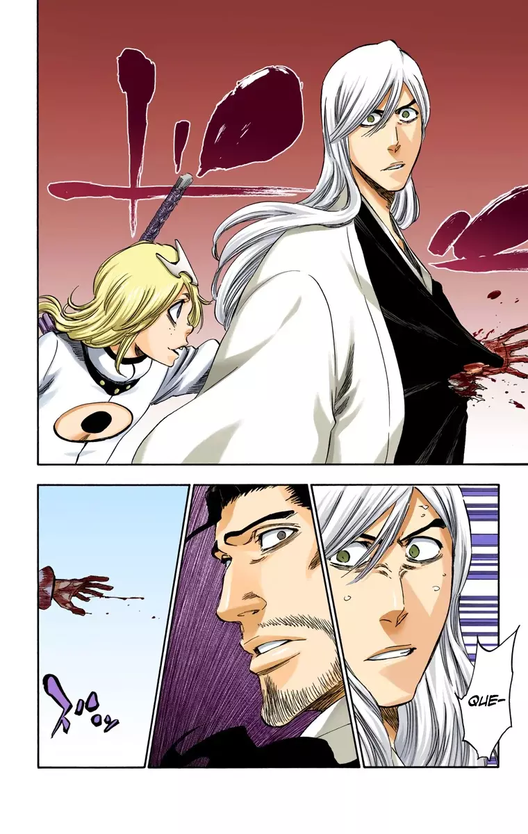 Read Bleach Full Color ES Manga Online
