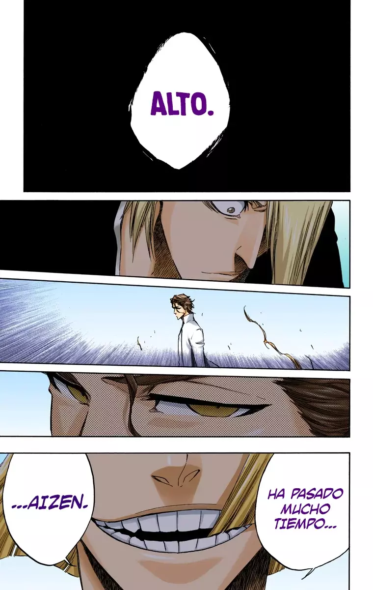 Read Bleach Full Color ES Manga Online