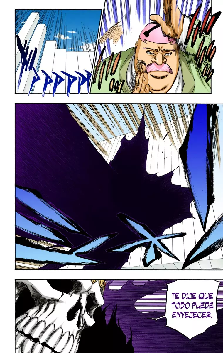Read Bleach Full Color ES Manga Online