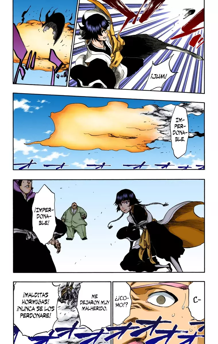 Read Bleach Full Color ES Manga Online