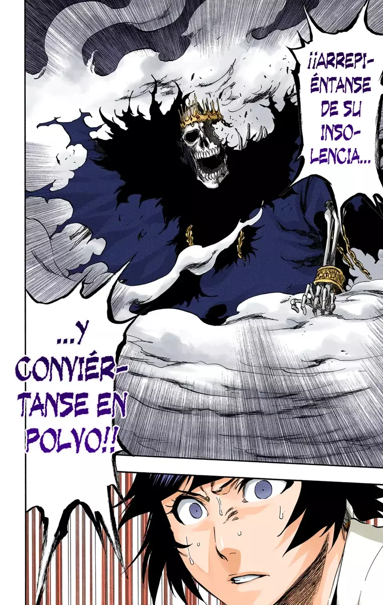 Read Bleach Full Color ES Manga Online